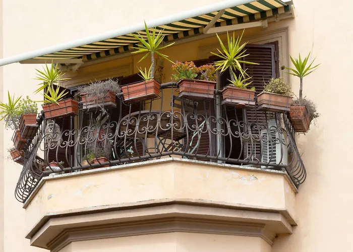 Domus Caroli In Vaticano Roma